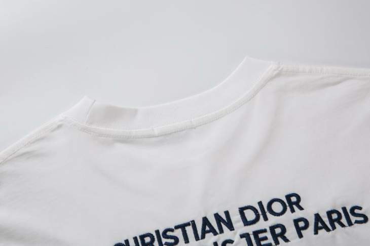 Dior T Shirts Short _SKUDiorS-XL8qx102215797